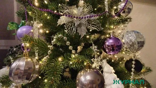 Более 25 тысяч челнинцев посетили новогодние елки в Набережных Челнах