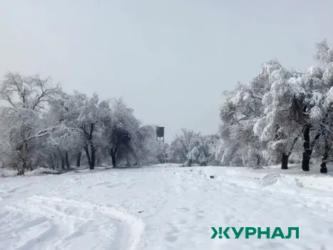 Погода в Татарстане резко изменится: ожидаются морозы до -20 градусов