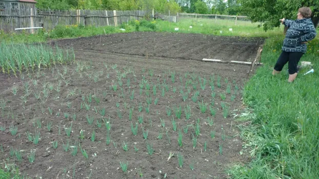 Садоводы Набережных Челнов готовятся к сезону: советы по выбору семян