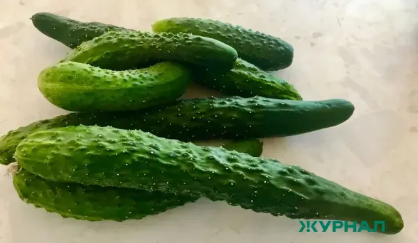 Цены на огурцы в Набережных Челнах значительно возросли