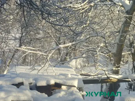 Две девушки провалились в овраг в Елабужском районе Татарстана