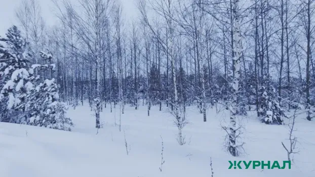 В Казани пропал 14-летний подросток после посадки в автомобиль