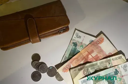 Жители Набережных Челнов могут участвовать в сборе монет для памятника &laquo;Живая память&raquo;