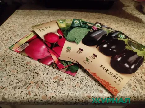 Мошенничество на рынке семян: советы агронома из Набережных Челнов