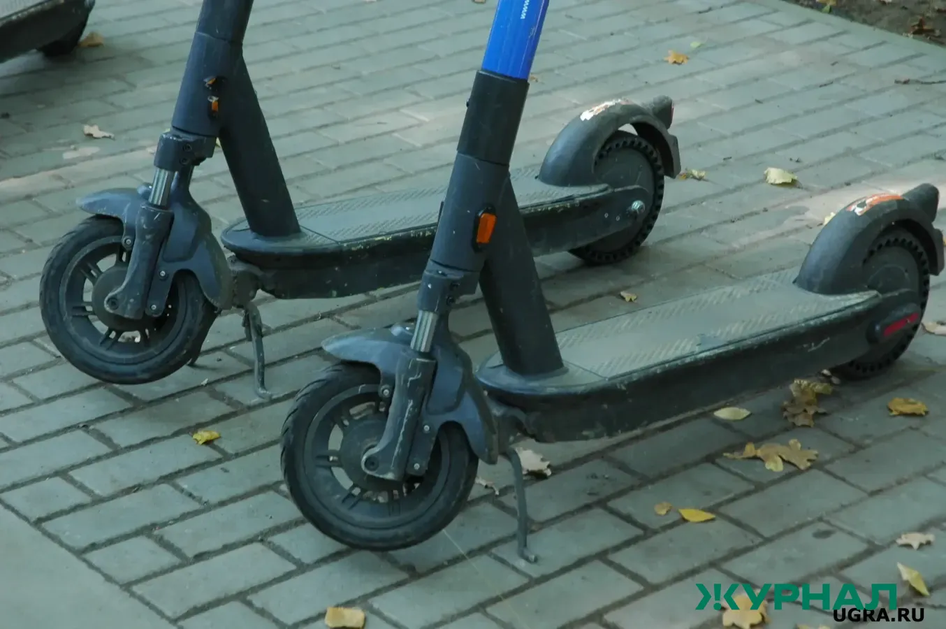 Молодежный парламент Татарстана предложил регистрацию электросамокатов