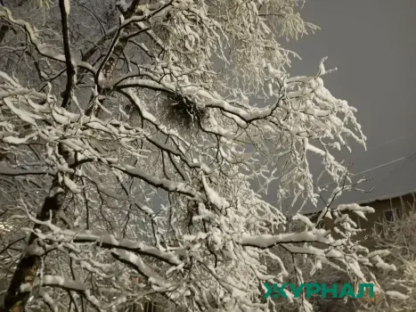 Погода в Набережных Челнах: мороз и облачность 25 января