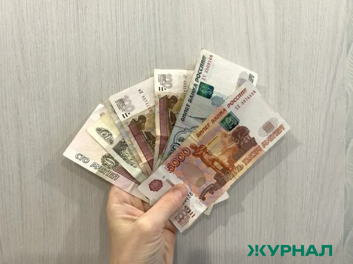 Многодетные семьи Казани предпочитают земельные участки денежным выплатам