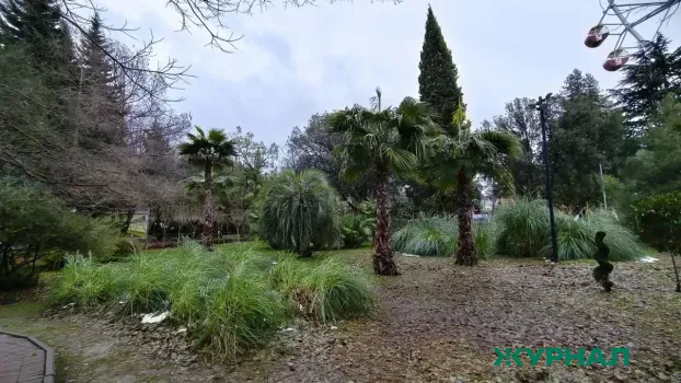 Глэмпинг-клуб одобрен инвестсоветом под Нижнекамском