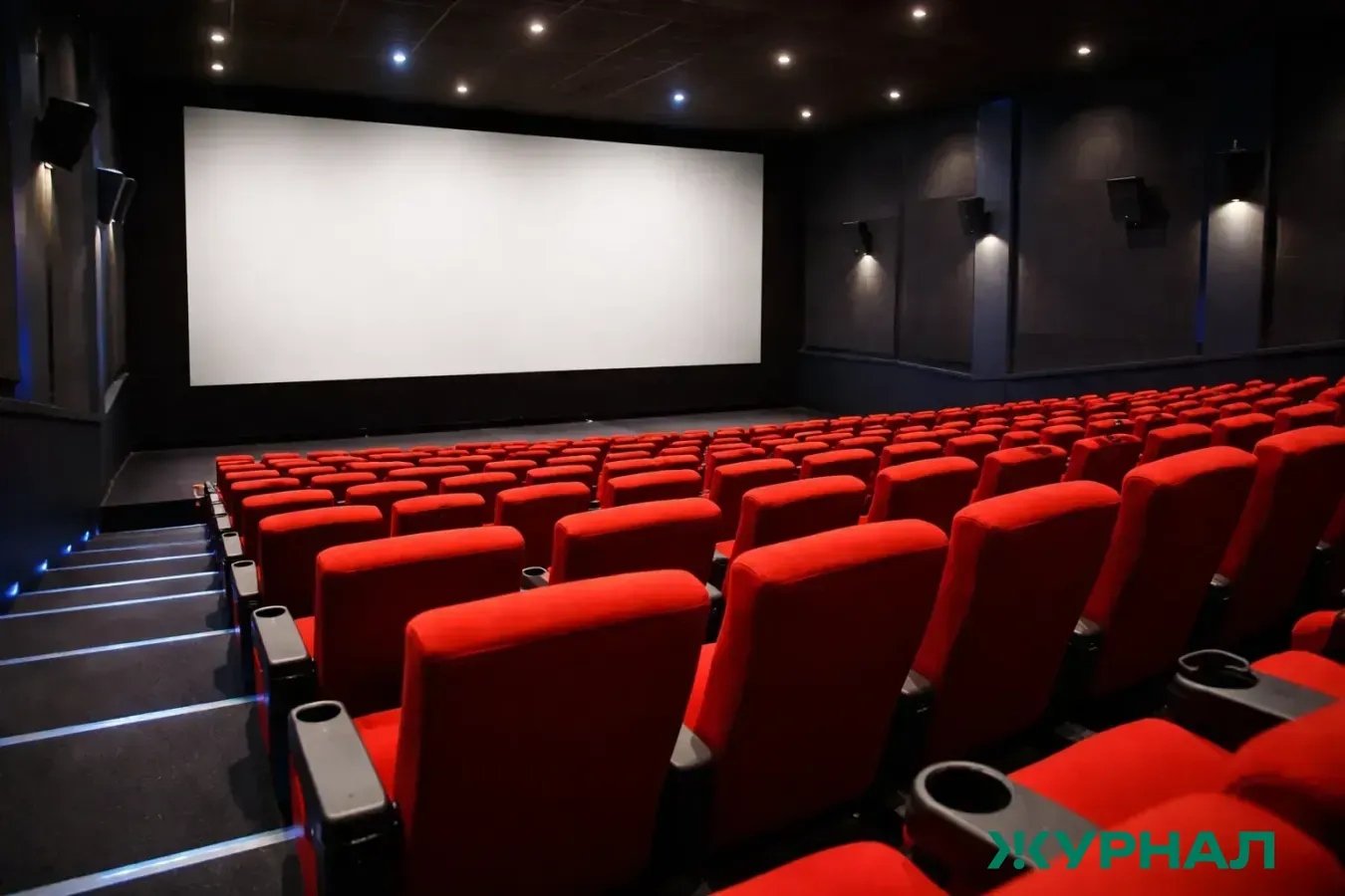 Кинотеатры Татарстана собрали 95,9 миллиона рублей за год