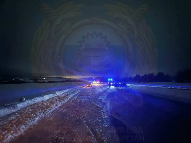 Водитель «Жигулей» погиб в ДТП с теленком в Альметьевском районе Татарстана