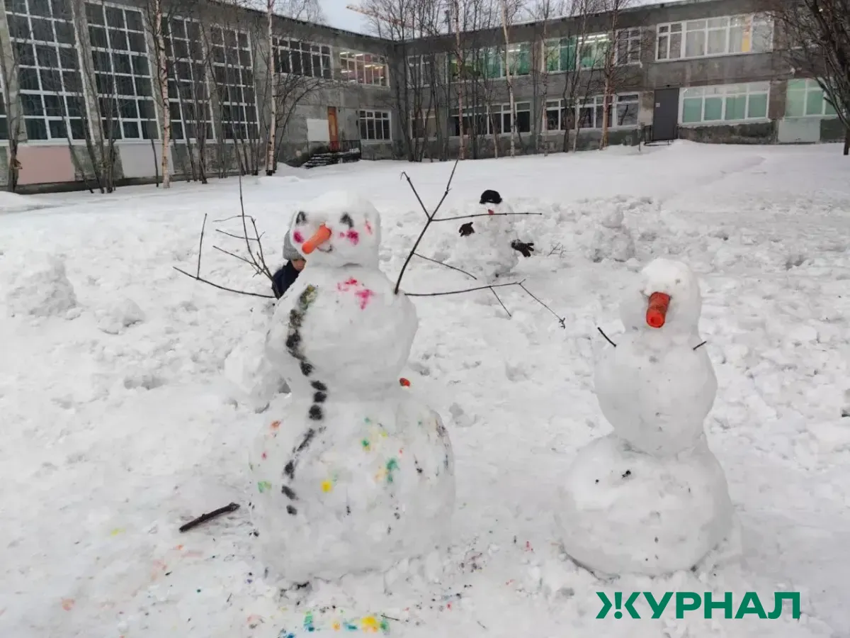 Фестиваль креативных санок «Sunny Фест -2026» пройдет в Мамадыше 7 февраля