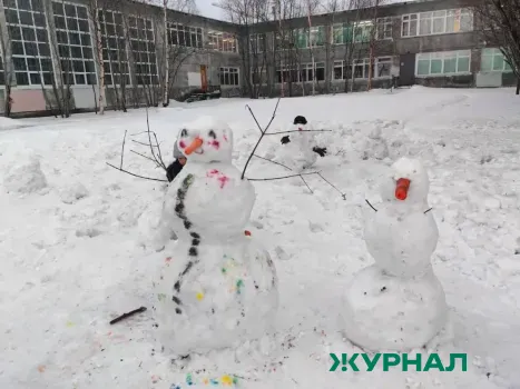 Фестиваль креативных санок «Sunny Фест -2026» пройдет в Мамадыше 7 февраля