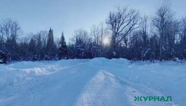 Снегопад и морозы ожидаются в Татарстане 31 января