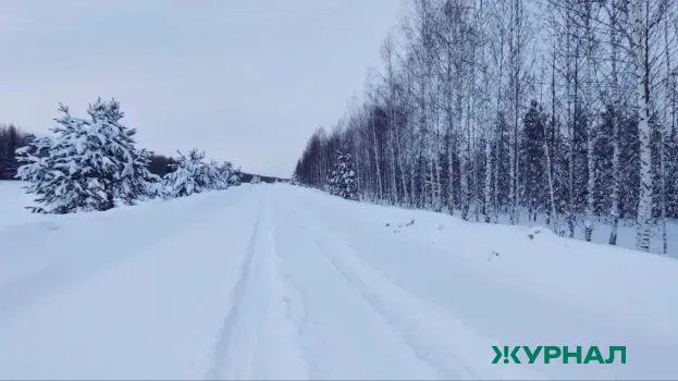 Снег и морозы ожидаются в Татарстане 4 февраля