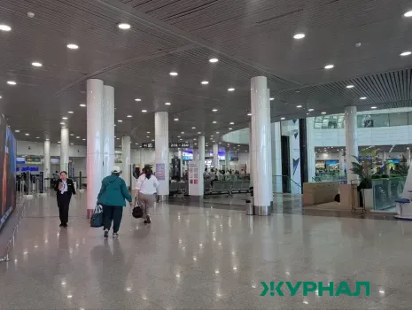 В аэропорту Казани изъяли крупную партию мяса и меда из Туркменистана