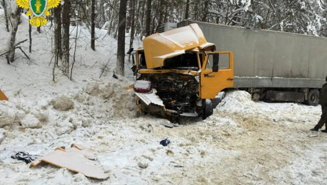 Три жителя Казани погибли в ДТП в Пензенской области