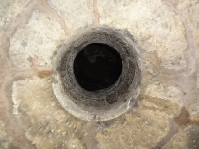 Гриб трутовик для септика: как улучшить дренаж и сократить чистку