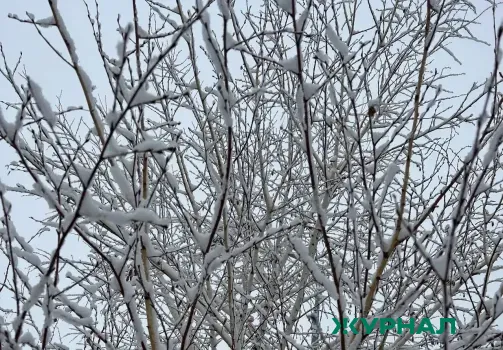Потепление ожидается в Татарстане после морозов, возможен снег