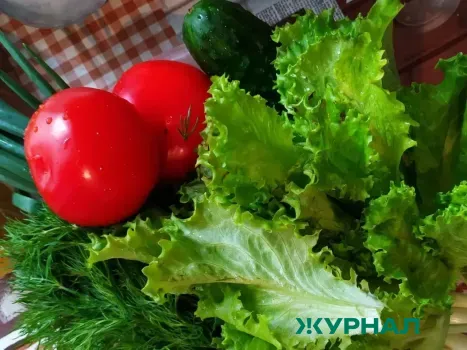 Таможенники в Лениногорске изъяли 23 тонны овощей и фруктов без маркировки