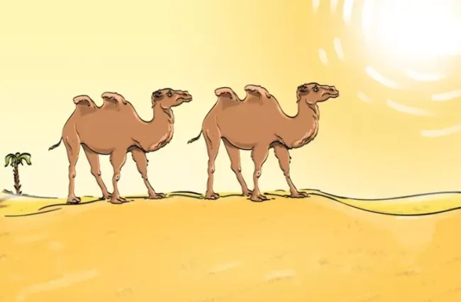 Графическая загадка: найдите ошибку на картинке за 10 секунд