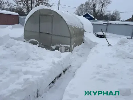 Клещи могут активизироваться в Татарстане из-за снежного покрова