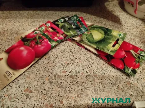 Подготовка семян к дачному сезону: советы агронома из Челнов