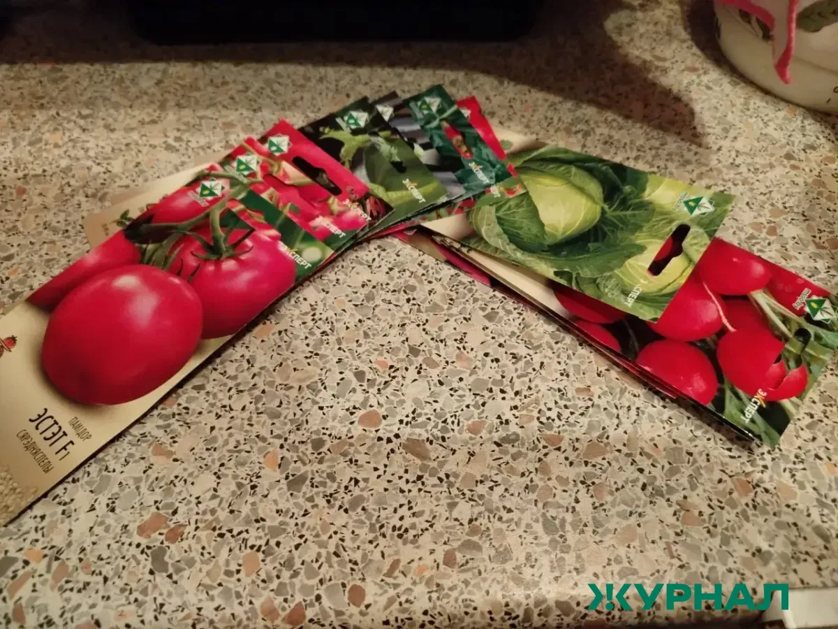 Подготовка семян к дачному сезону: советы агронома из Челнов