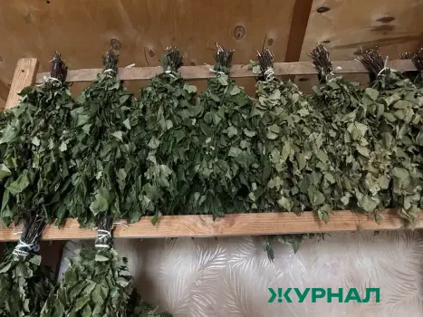 В Набережных Челнах увеличены цены на услуги общественных бань