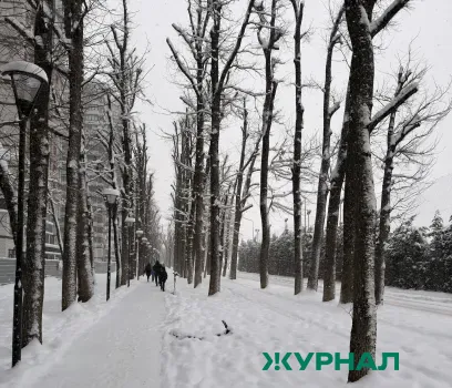 Облачная погода и снег ожидаются в Татарстане 26 февраля