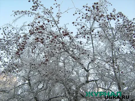Аномальное таяние снега ожидается в Казани весной