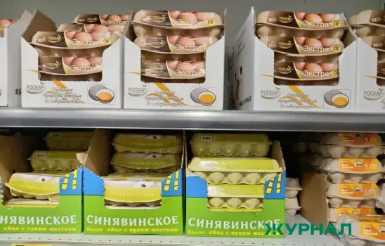 Рост цен на продукты в Татарстане: яйца и морковь подорожали, огурцы и свинина подешевели