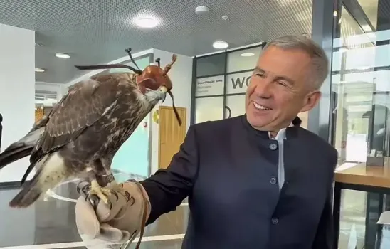 Минниханов поручил изучить вопросы сохранения сокола-балобана в Татарстане