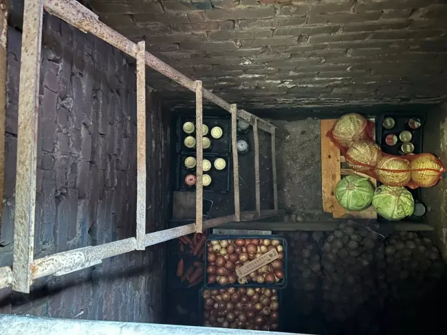 Избавьтесь от сырости в погребе с помощью поваренной соли и макулатуры