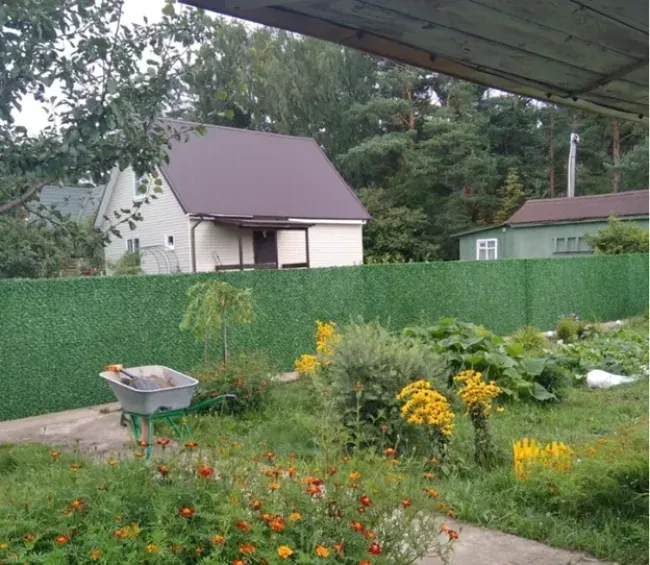 Травяной забор: стильное и недорогое решение для вашего участка за 2 дня