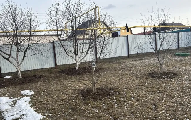 Забор из затеняющей сетки: легкий способ создать прозрачное ограждение для вашего участка