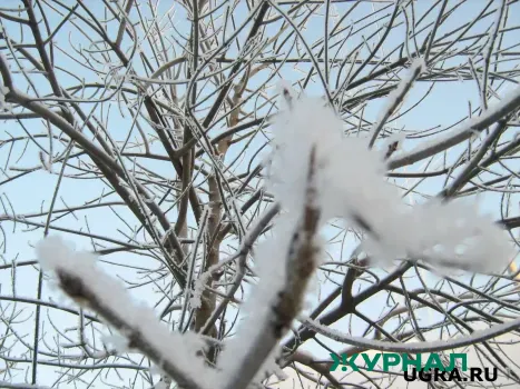 Погода в Татарстане: без осадков, температура до +12°