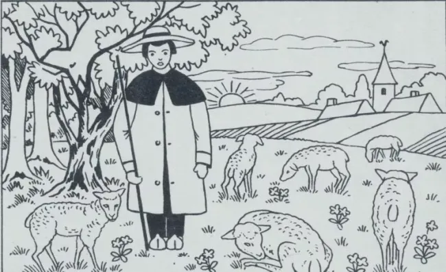 Найдите волка среди овец: только 5% решают эту загадку на внимательность