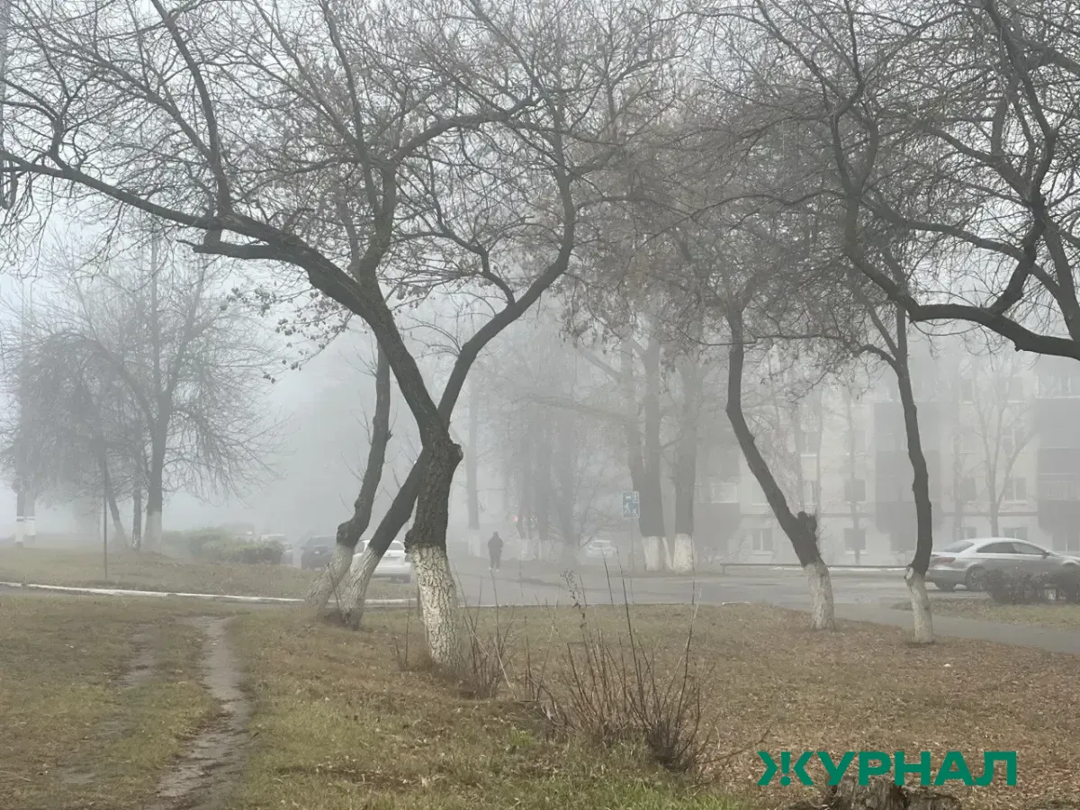 Температура в Татарстане 21 марта: туман и до 9 градусов тепла