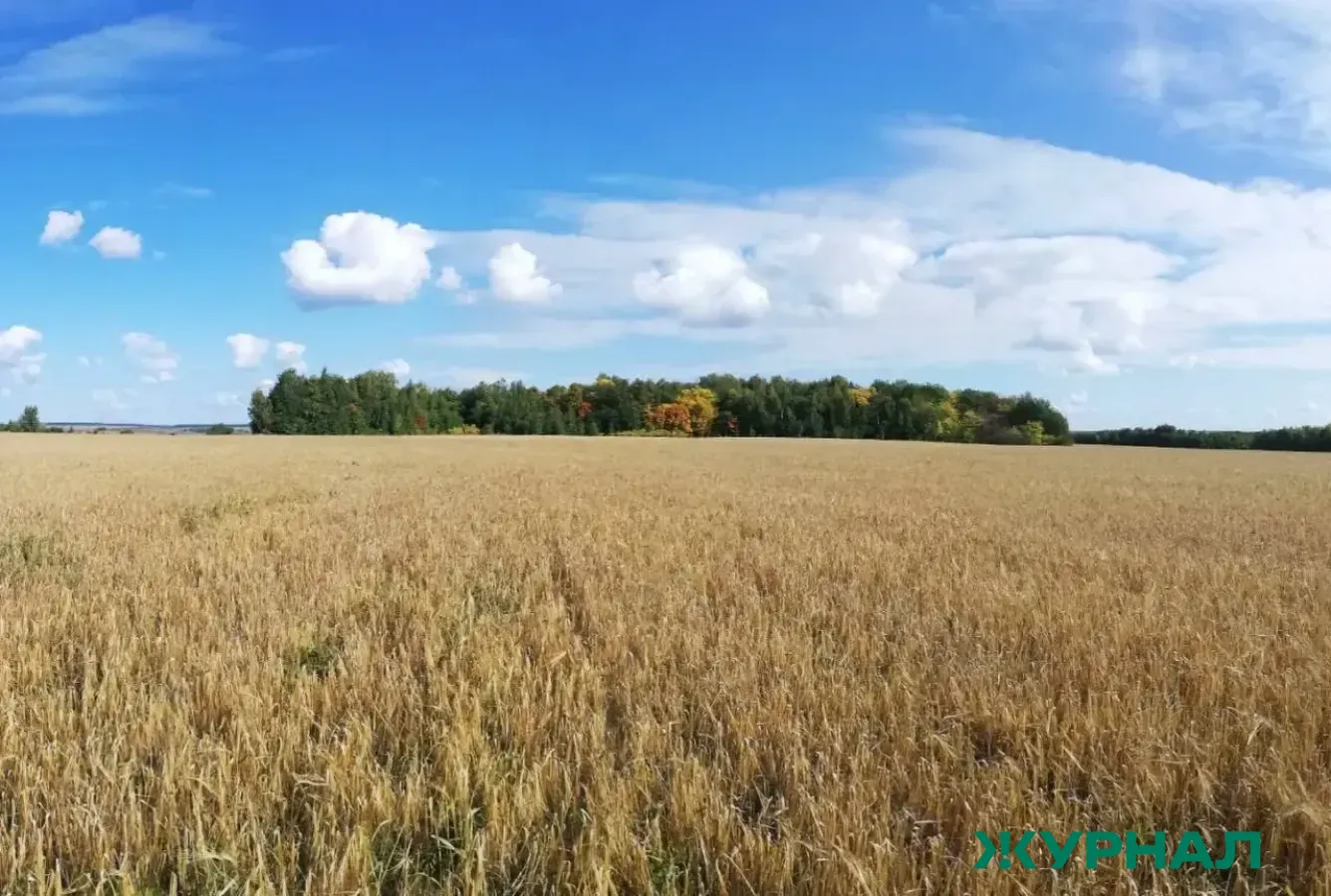 Подготовка к весенне-полевым работам в Татарстане обсудили на совещании
