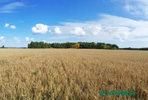 Подготовка к весенне-полевым работам в Татарстане обсудили на совещании