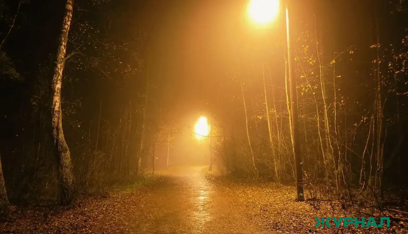 Туман ожидается в Татарстане и Казани 22 марта