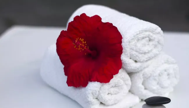 Как вернуть белизну полотенцам и тряпкам за 2 часа с помощью простого раствора