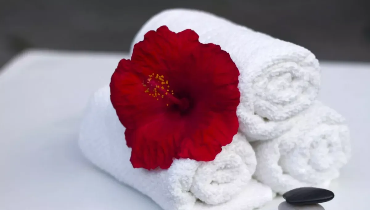 Как вернуть белизну полотенцам и тряпкам за 2 часа с помощью простого раствора