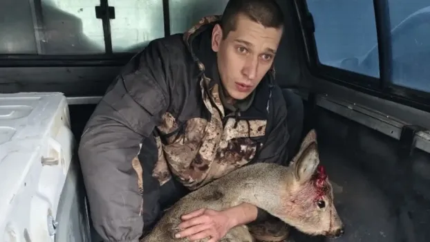 В Буинске спасли косулю с травмой, забежавшую в больницу