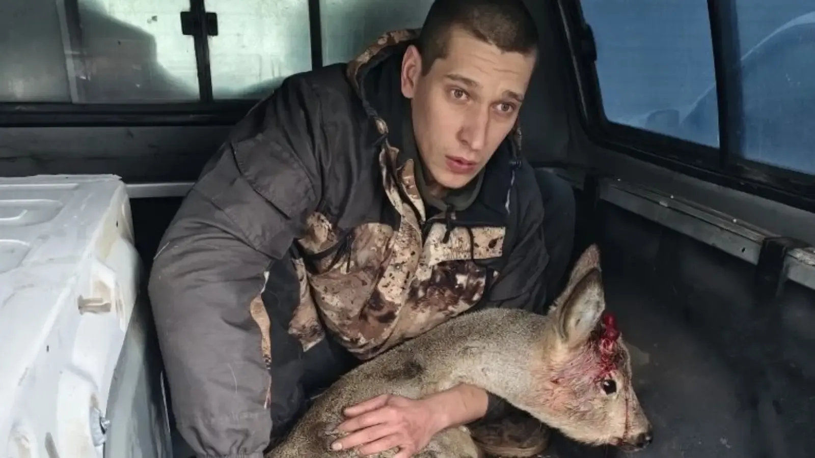 В Буинске спасли косулю с травмой, забежавшую в больницу