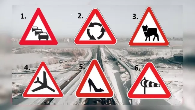 Тест на знание дорожных знаков: найди лишний и проверь свои навыки