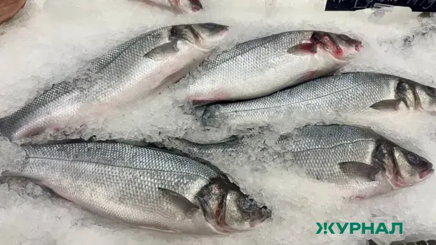 Некачественная рыба обнаружена в Татарстане в ходе мониторинга Россельхознадзора
