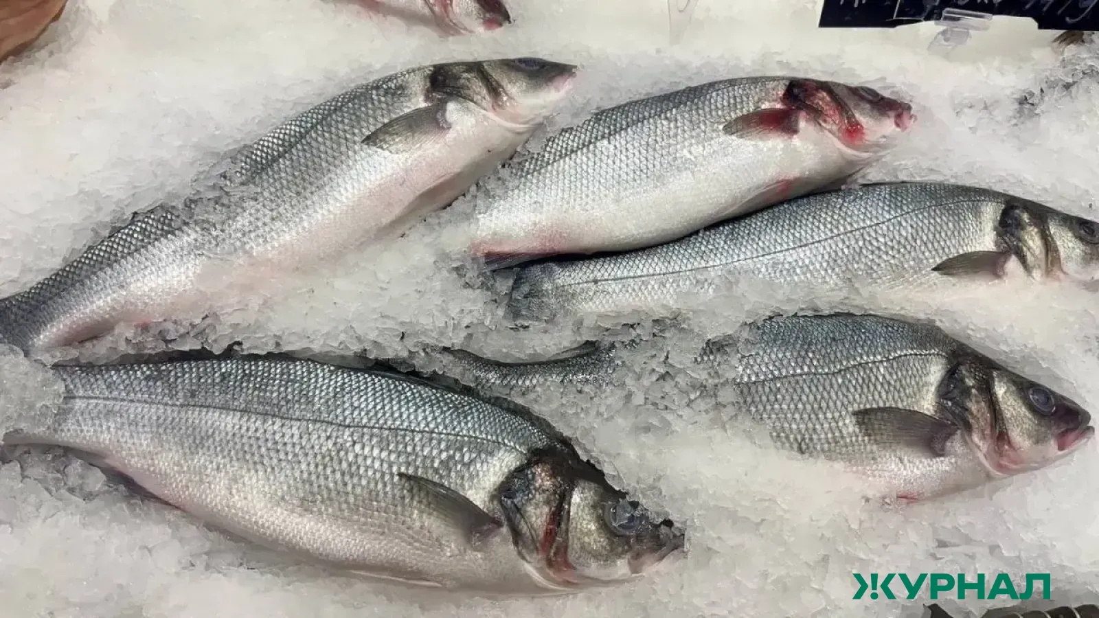 Некачественная рыба обнаружена в Татарстане в ходе мониторинга Россельхознадзора
