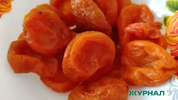 В Казани у пассажира из Узбекистана изъяли 9,8 кг сухофруктов без сертификатов