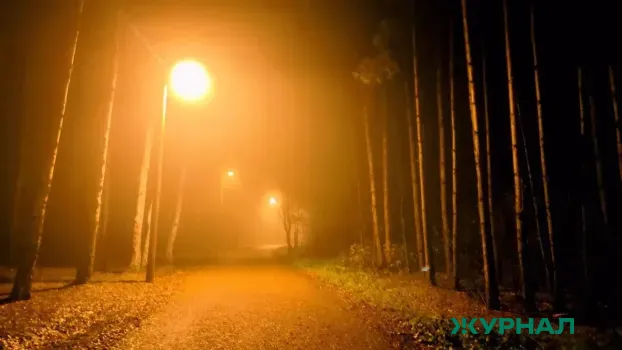 Облачная погода и туман ожидаются в Татарстане 28 марта